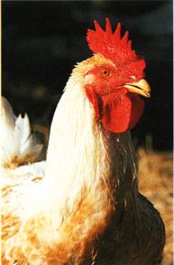 photoquadri